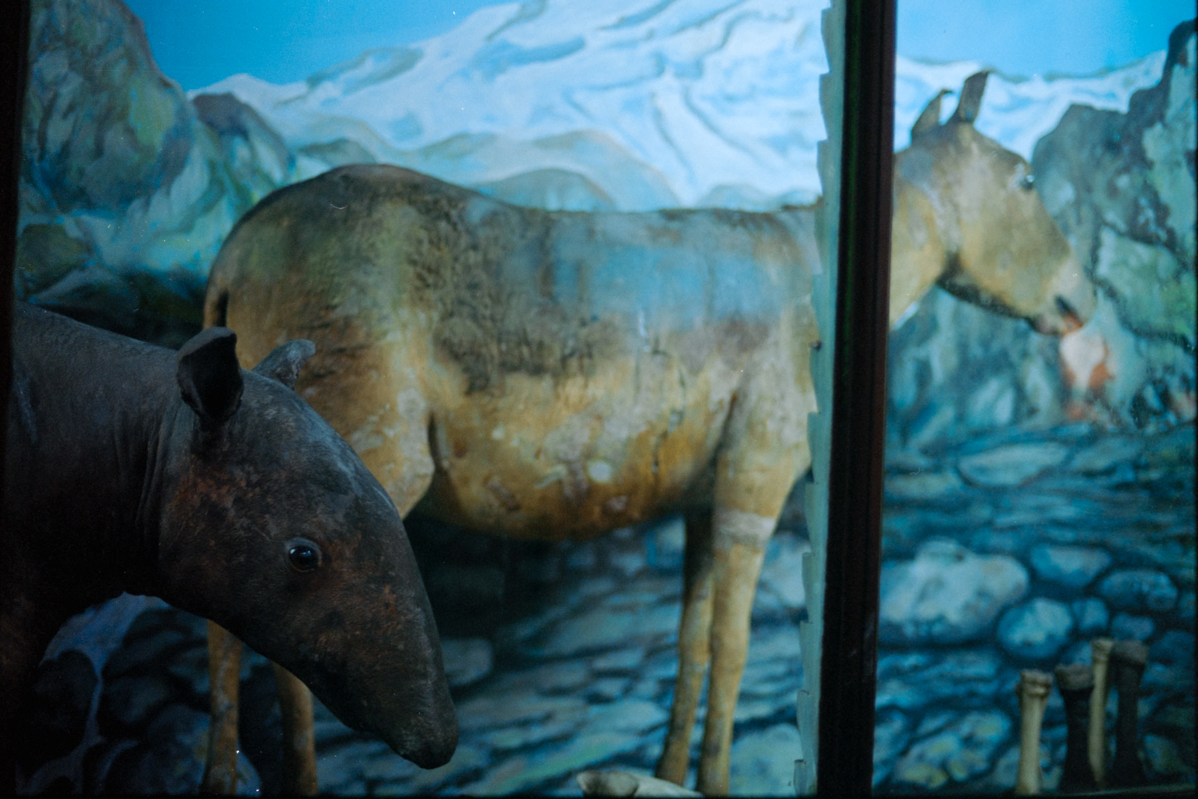 AHP film 2005 01 001 sc240825 img20 NLP